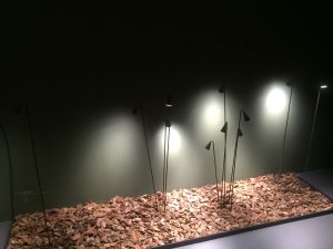 Gallery 120
