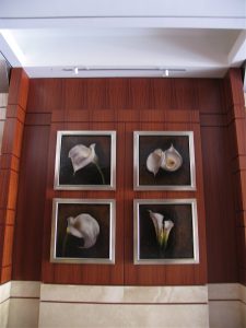 Gallery 41